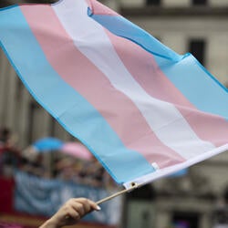 Transgender pride flag