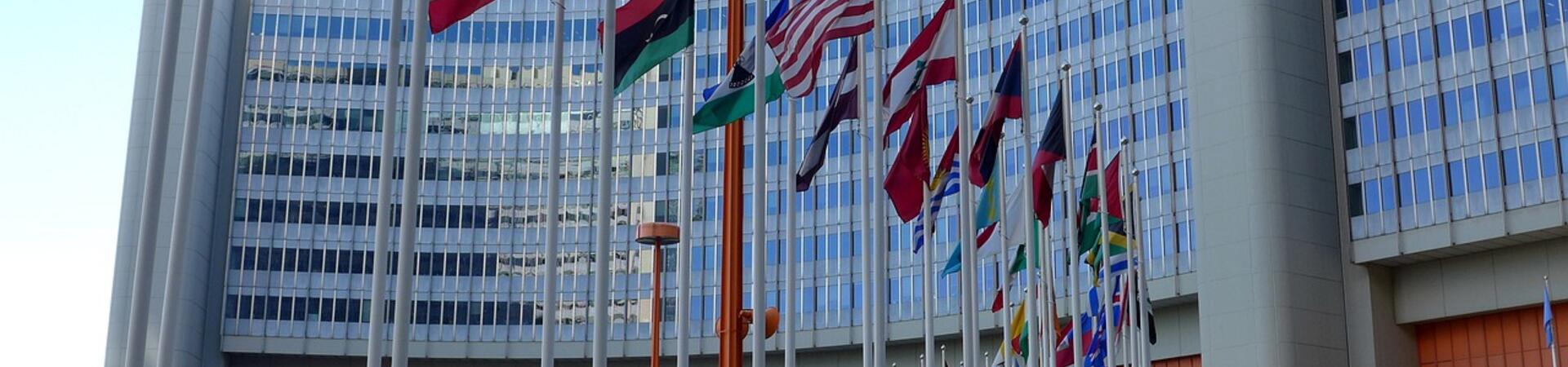 Image of building with flags
